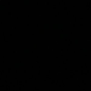 Meet your Posher, Maleah